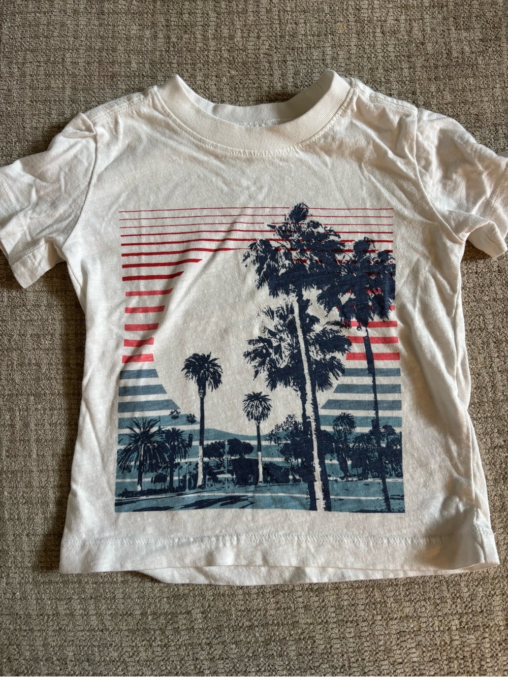 Kids White Graphic Palm Tree Tee with Blue & Red Print